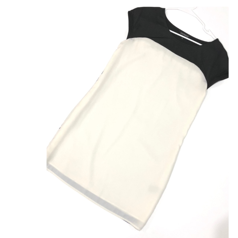 Express Shift Dress